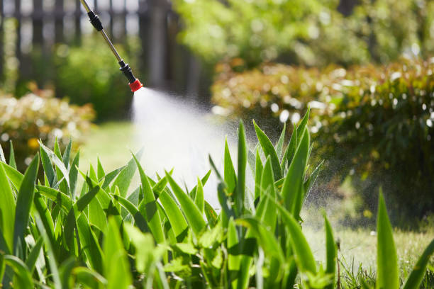 24/7 Emergency Mosquito Control experts in Wallace, FL